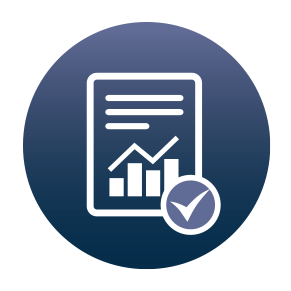 audit icon